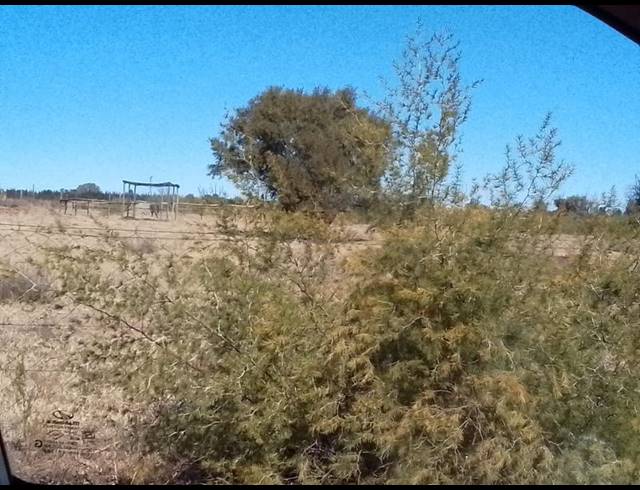 FARM FOR SALE IN NANESCOL